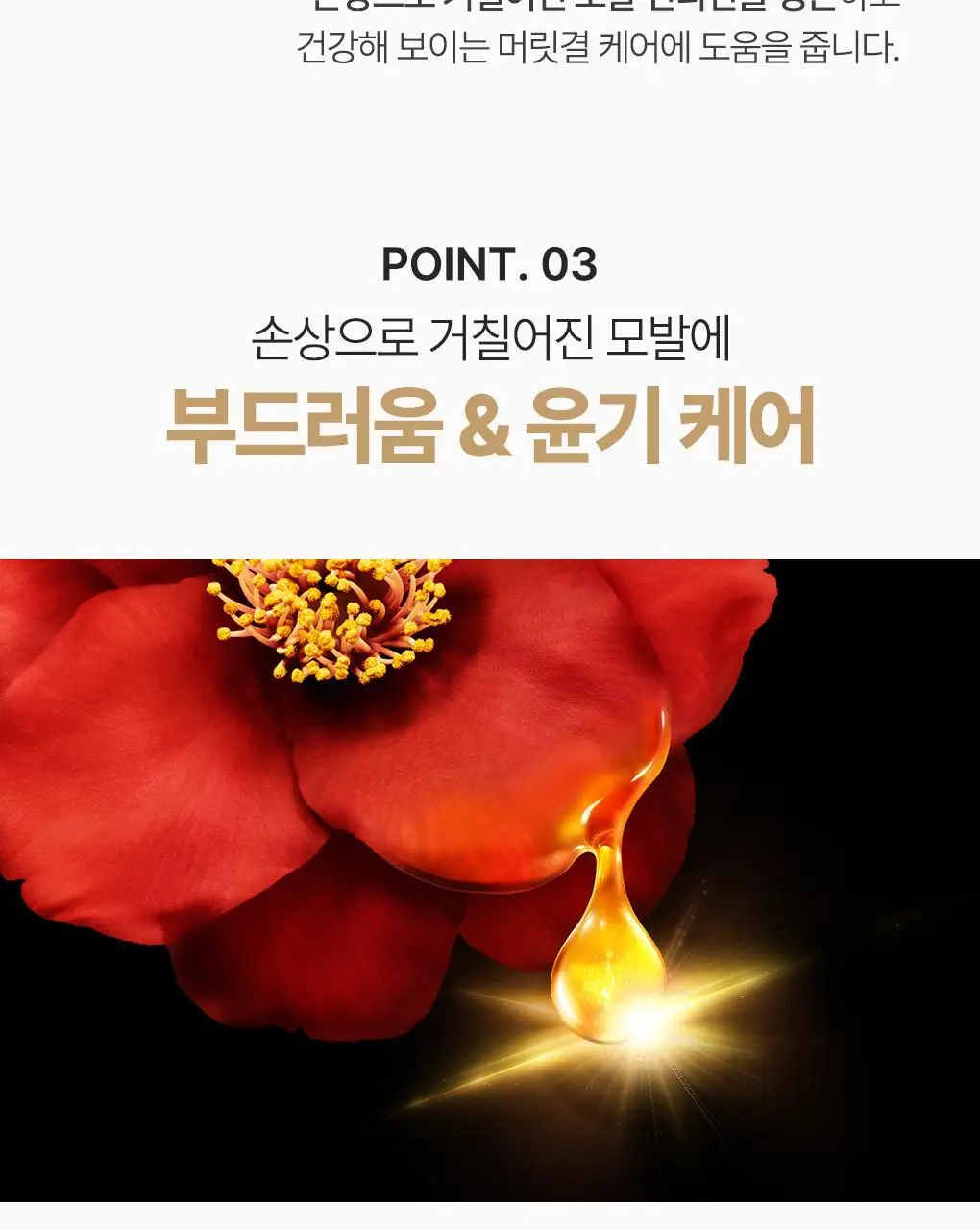 [츠바키 1등샴푸] 츠바키 프리미엄 볼륨 & 리페어 샴푸 450ml 상세페이지 14